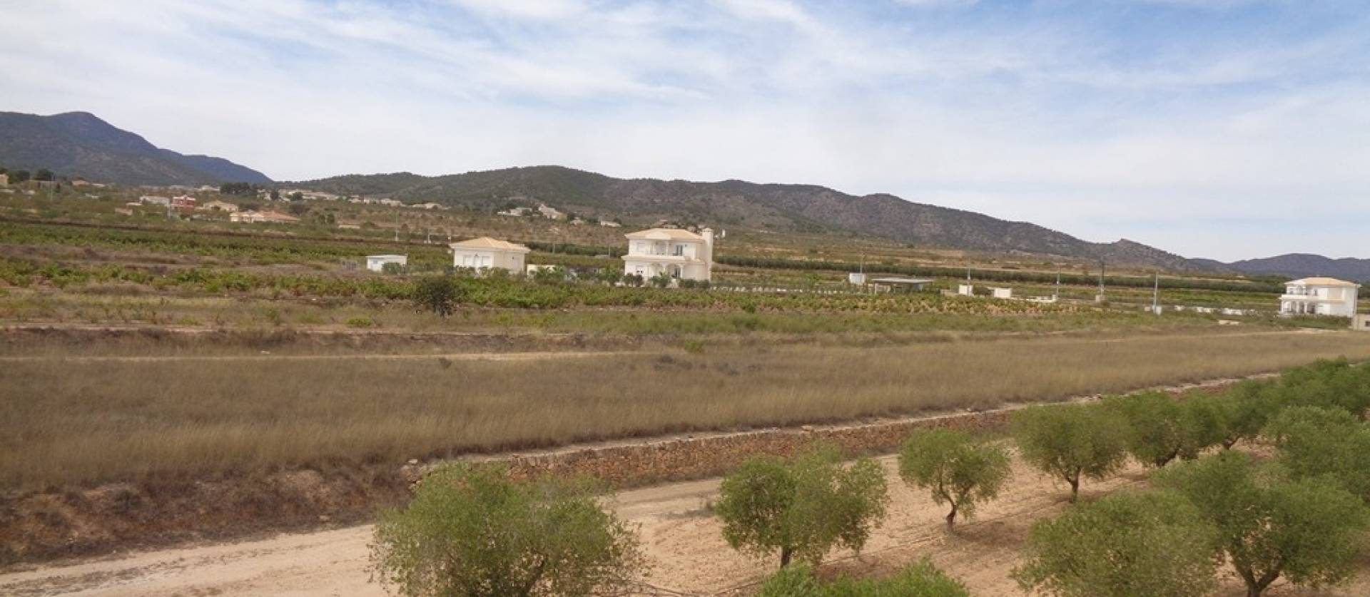 Sale - Villa - Pinoso