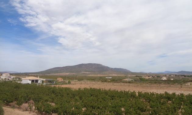 Sale - Villa - Pinoso