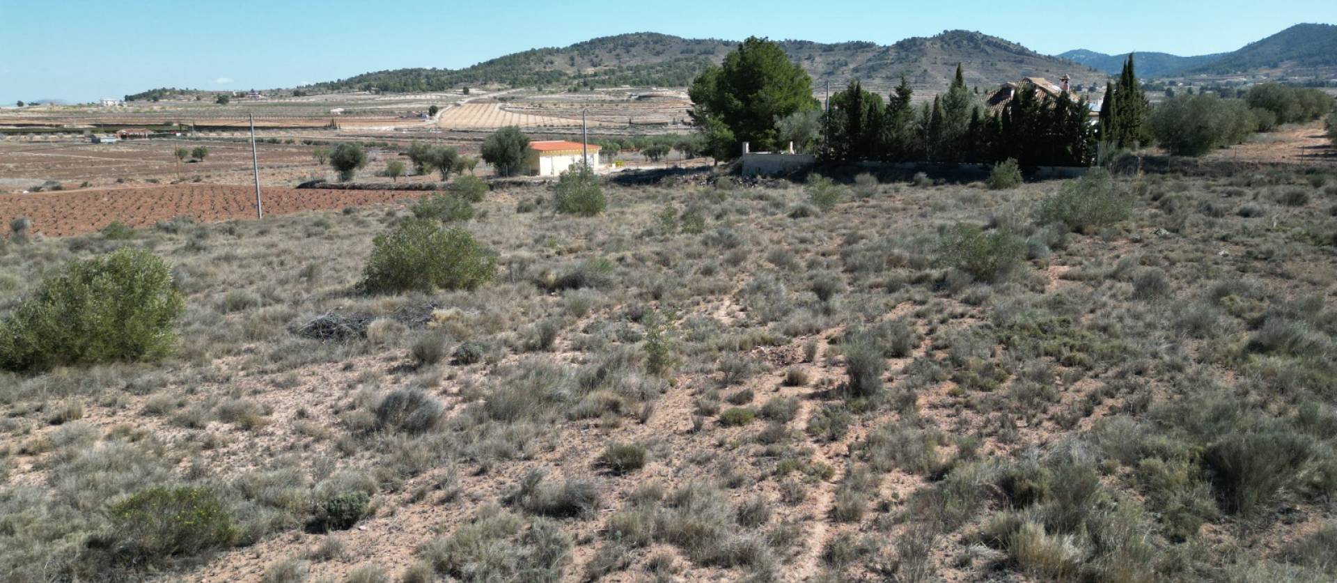 Sale - Land - Pinoso