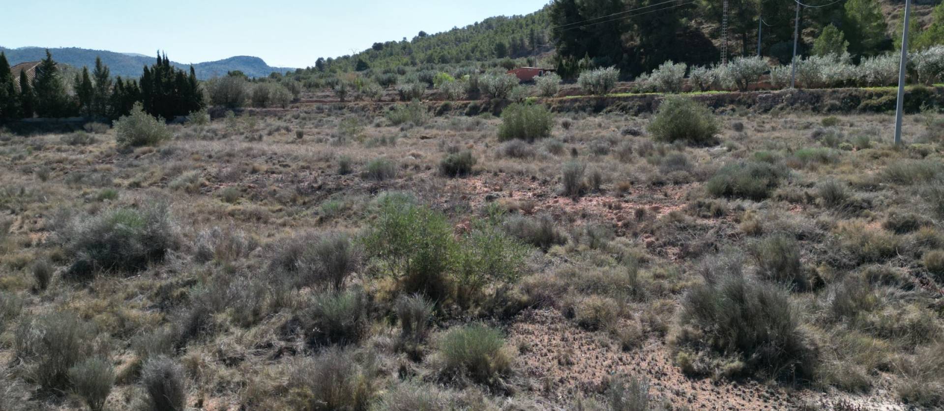 Sale - Land - Pinoso