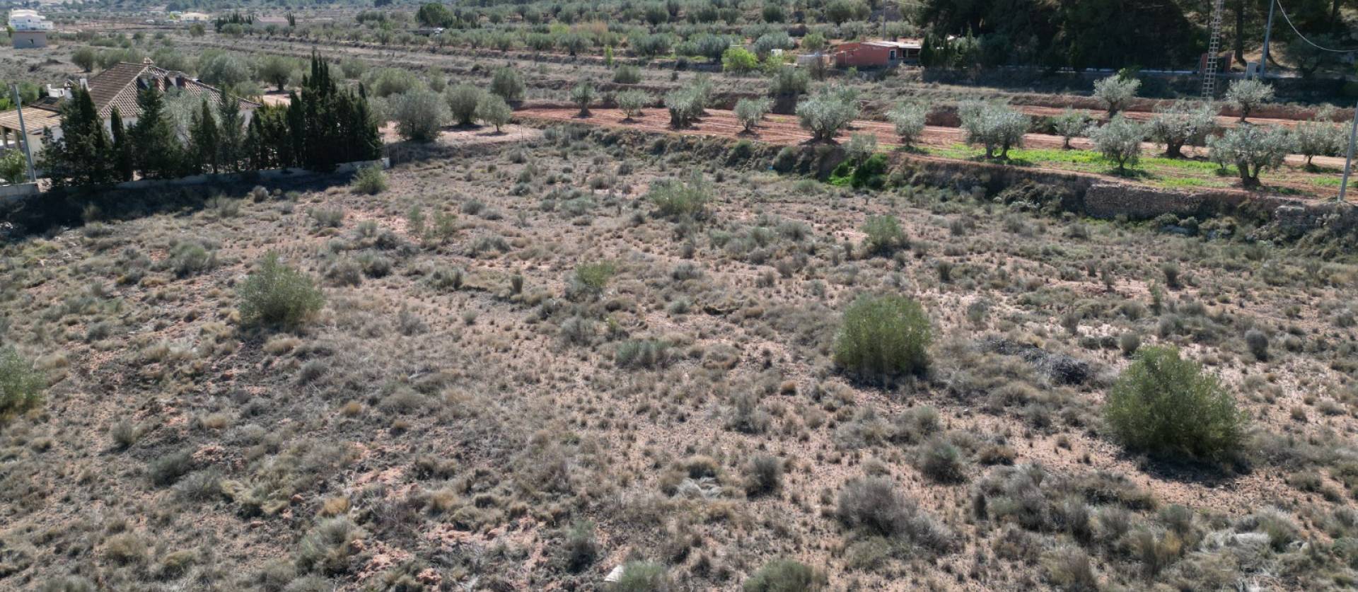 Sale - Land - Pinoso