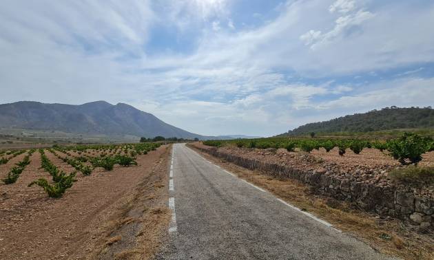 Sale - Land - Abanilla