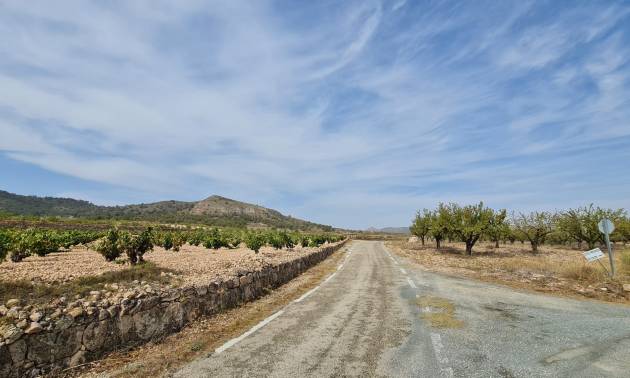 Sale - Land - Abanilla