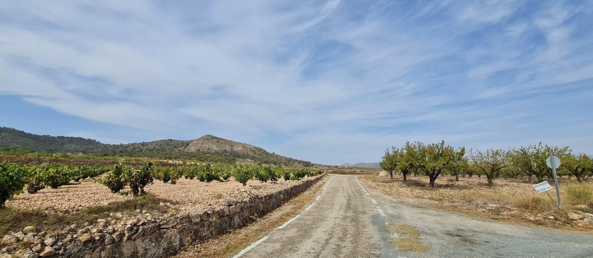 Sale - Land - Abanilla