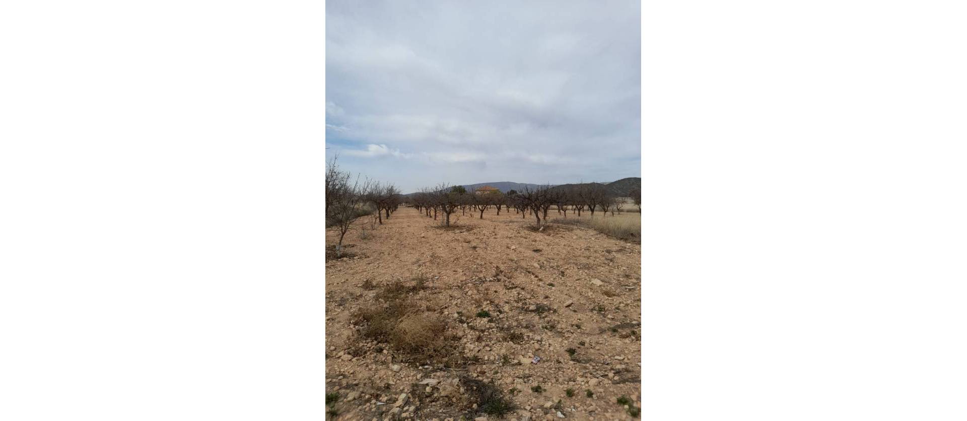 Revente - Maison de ville - Casas del Senor