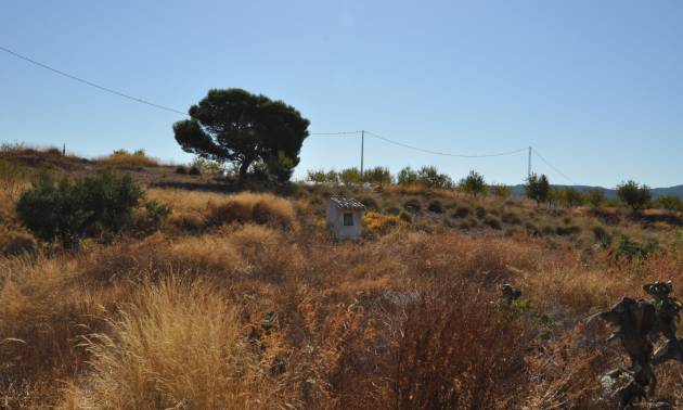 Revente - Country House - Macisvenda