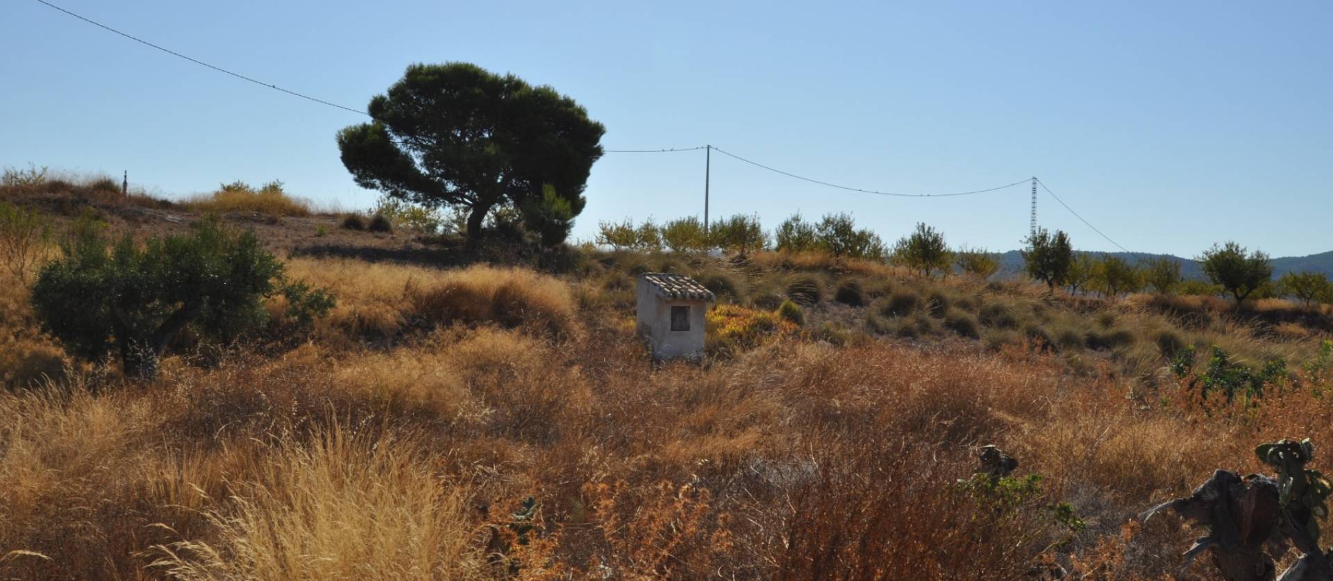 Revente - Country House - Macisvenda