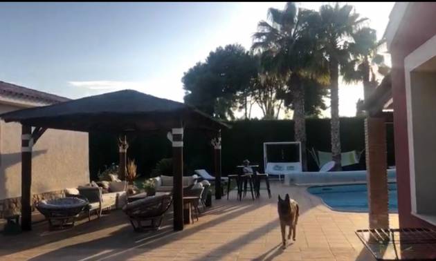 Revente - Villa - Elda