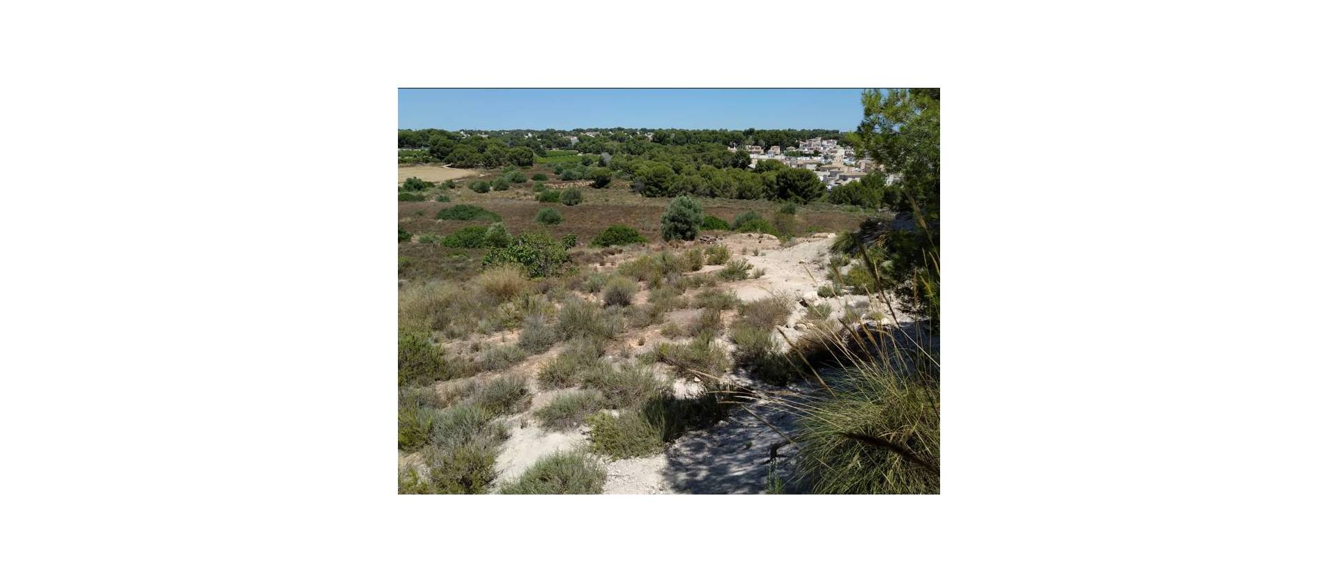 Revente - Land - Pinar de Campoverde