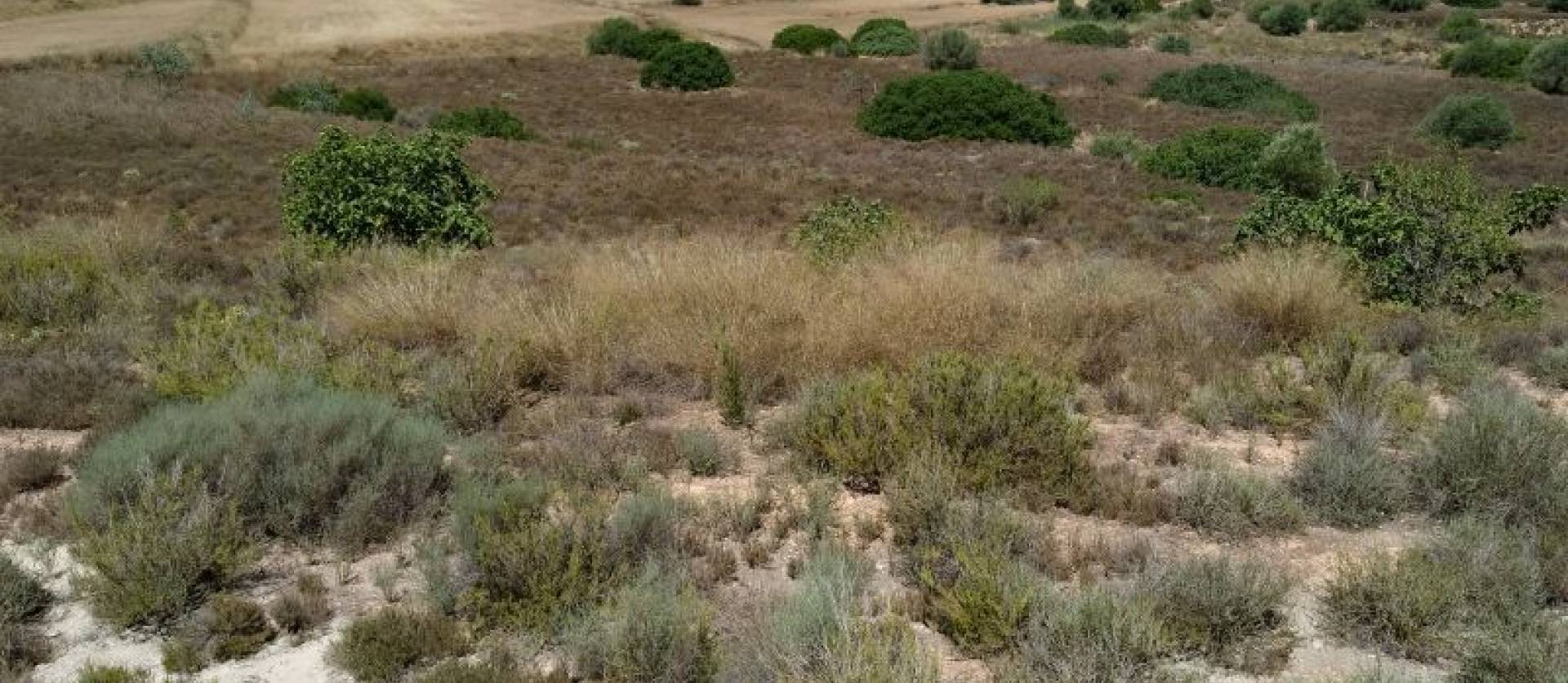 Revente - Land - Pinar de Campoverde