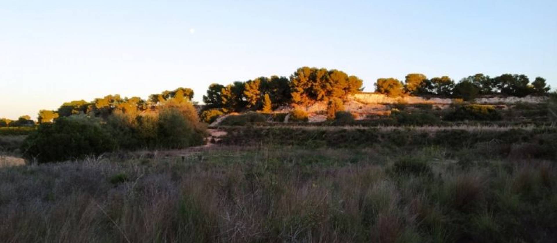 Revente - Land - Pinar de Campoverde