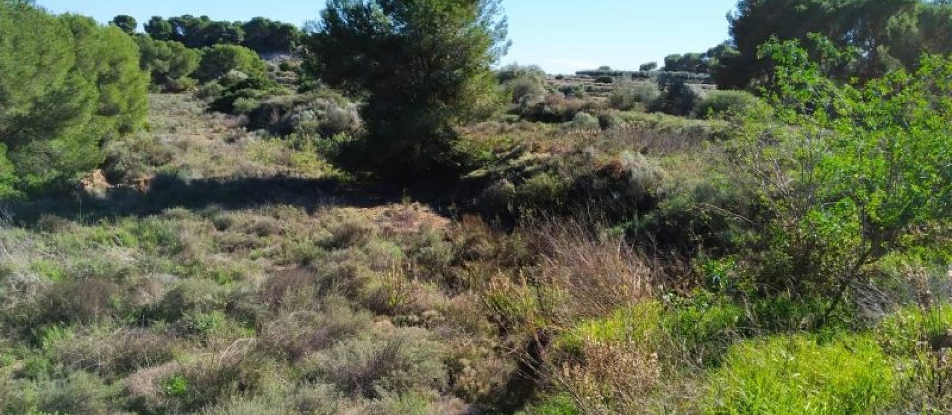 Revente - Land - Pinar de Campoverde