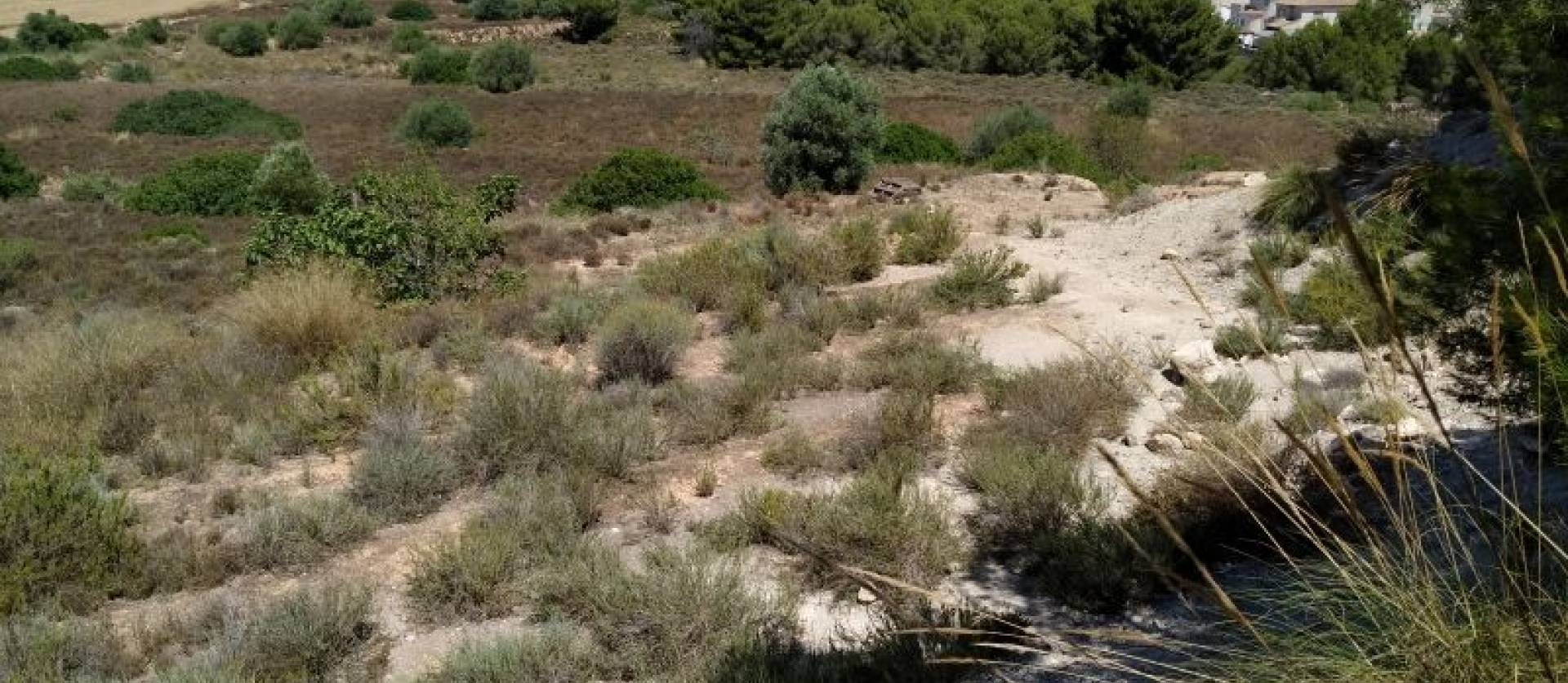 Revente - Land - Pinar de Campoverde