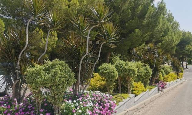 Venta - Apartment - Orihuela Costa