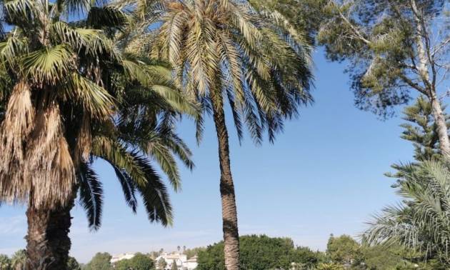 Venta - Apartment - Orihuela Costa