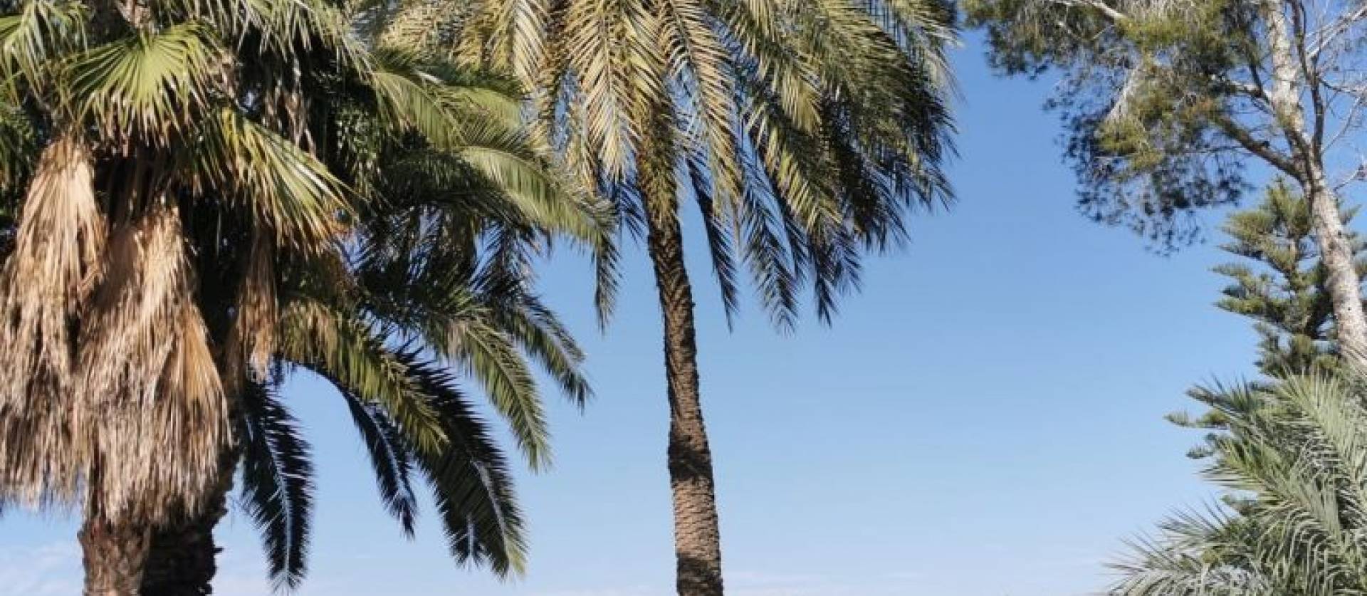 Venta - Apartment - Orihuela Costa