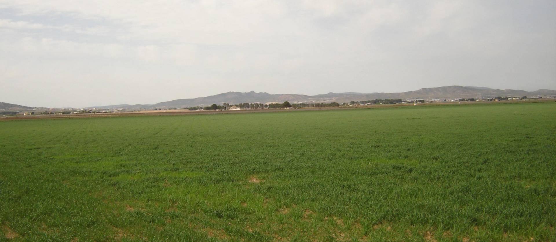 Revente - Land - Yecla