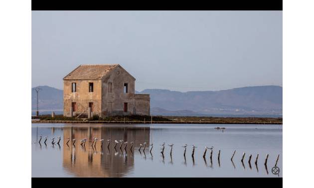 Sale - Apartment - Lo Pagan