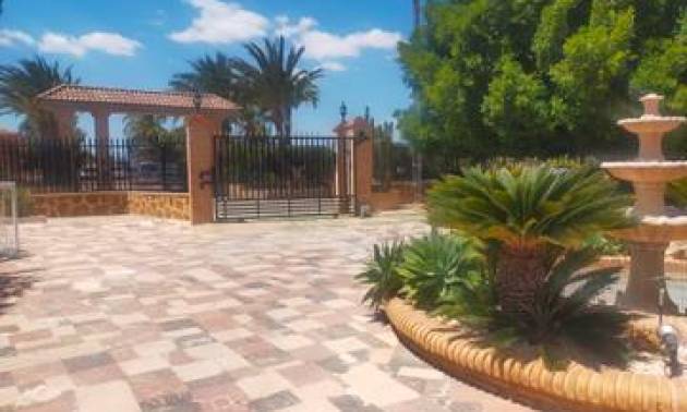 Bestaande woningen - Villa - Elche