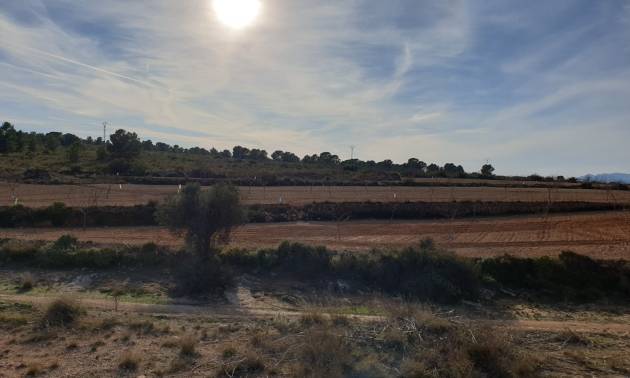 Revente - Land - Pinoso