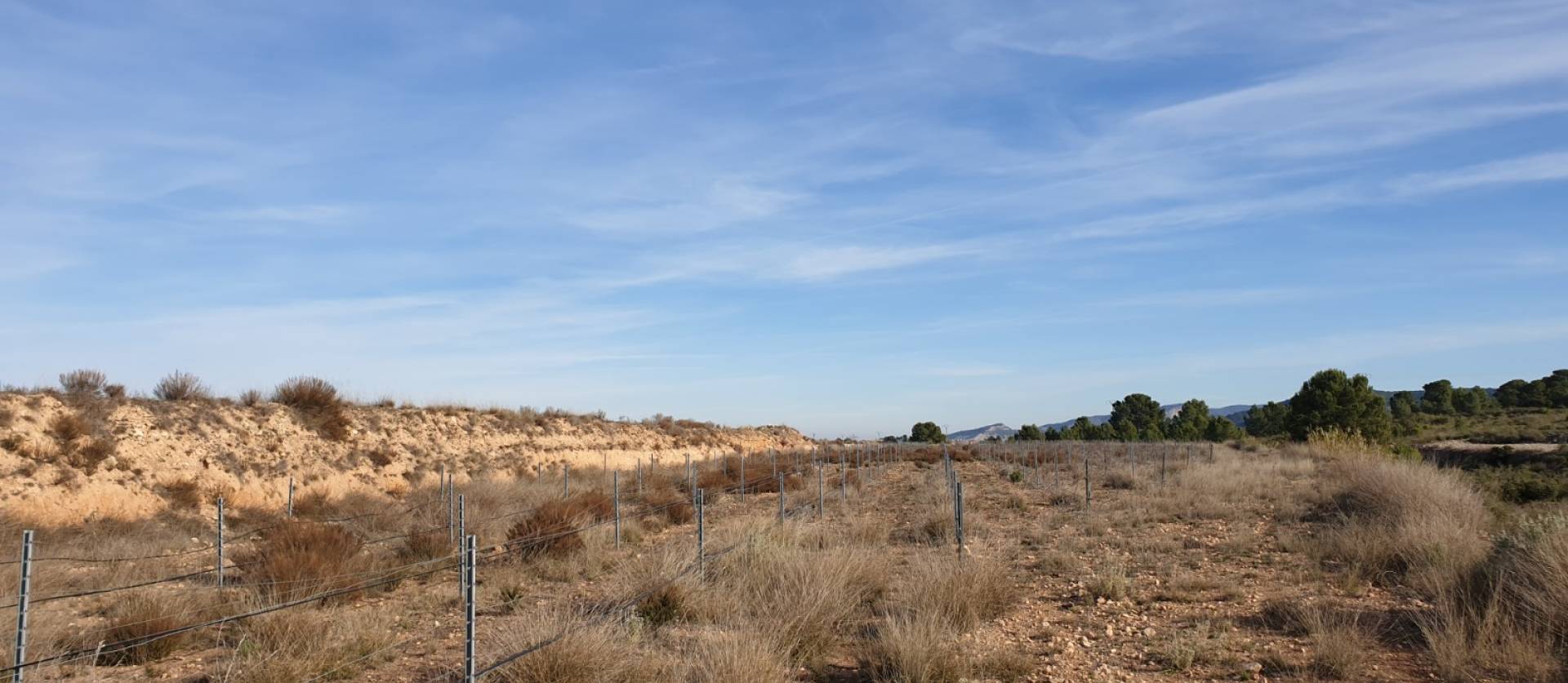 Revente - Land - Pinoso