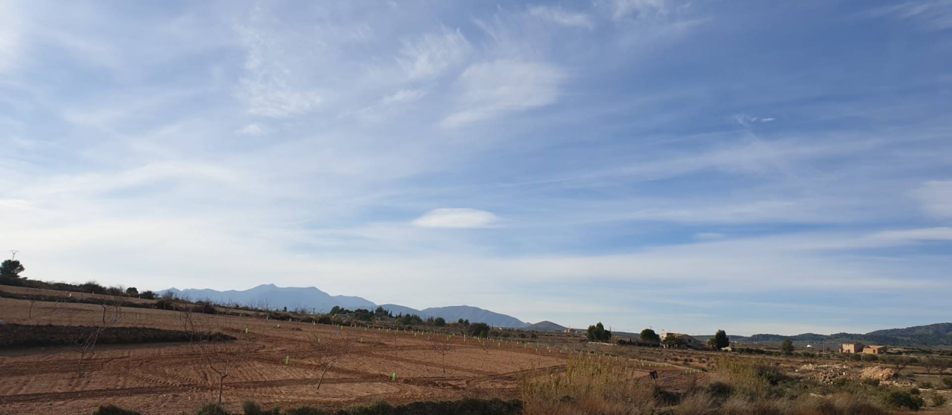 Revente - Land - Pinoso