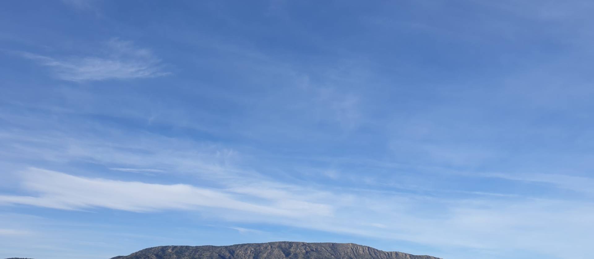 Revente - Land - Pinoso