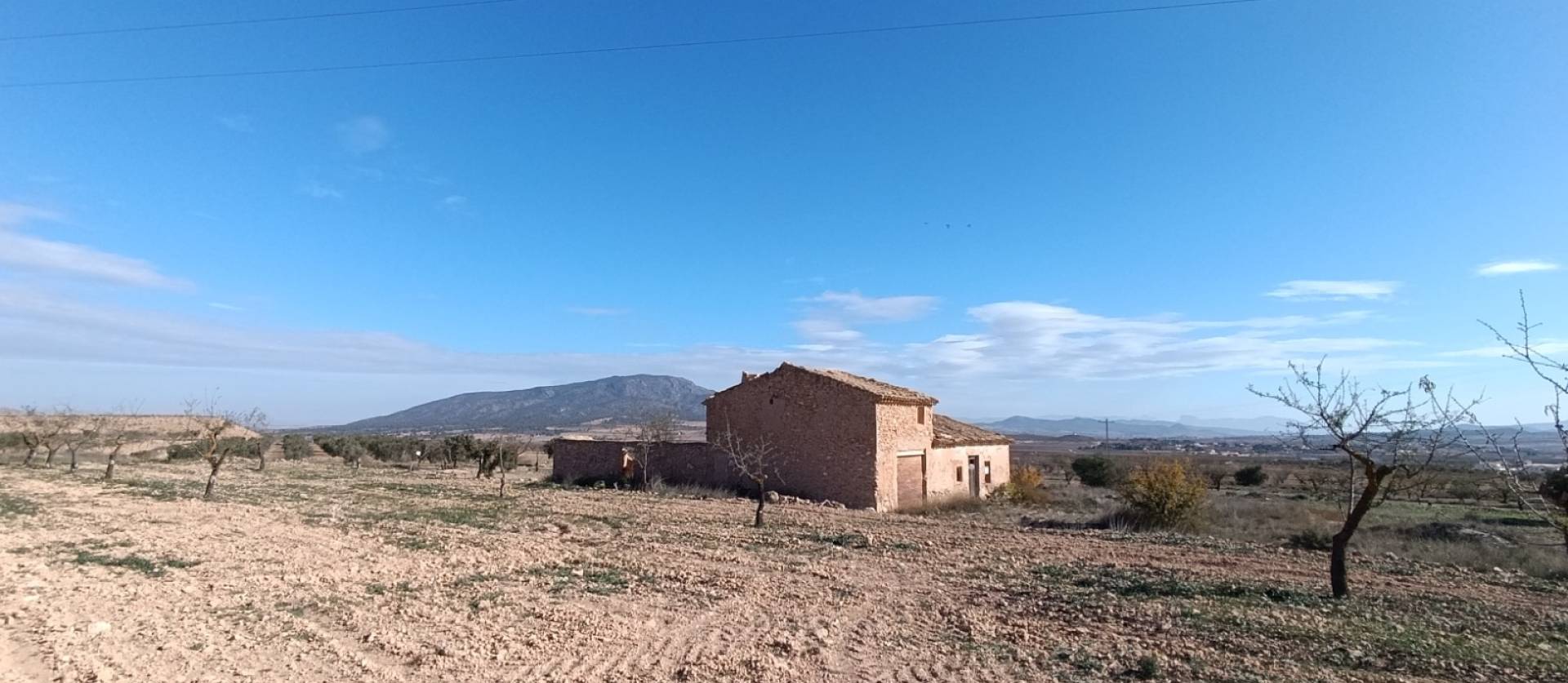 Bestaande woningen - Commercieel - Yecla