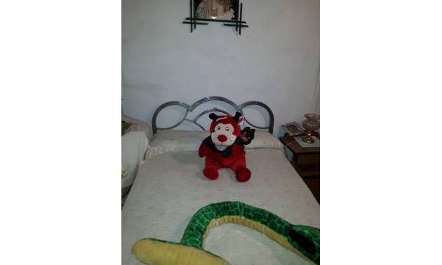 Bestaande woningen - Landelijk huis - Yecla