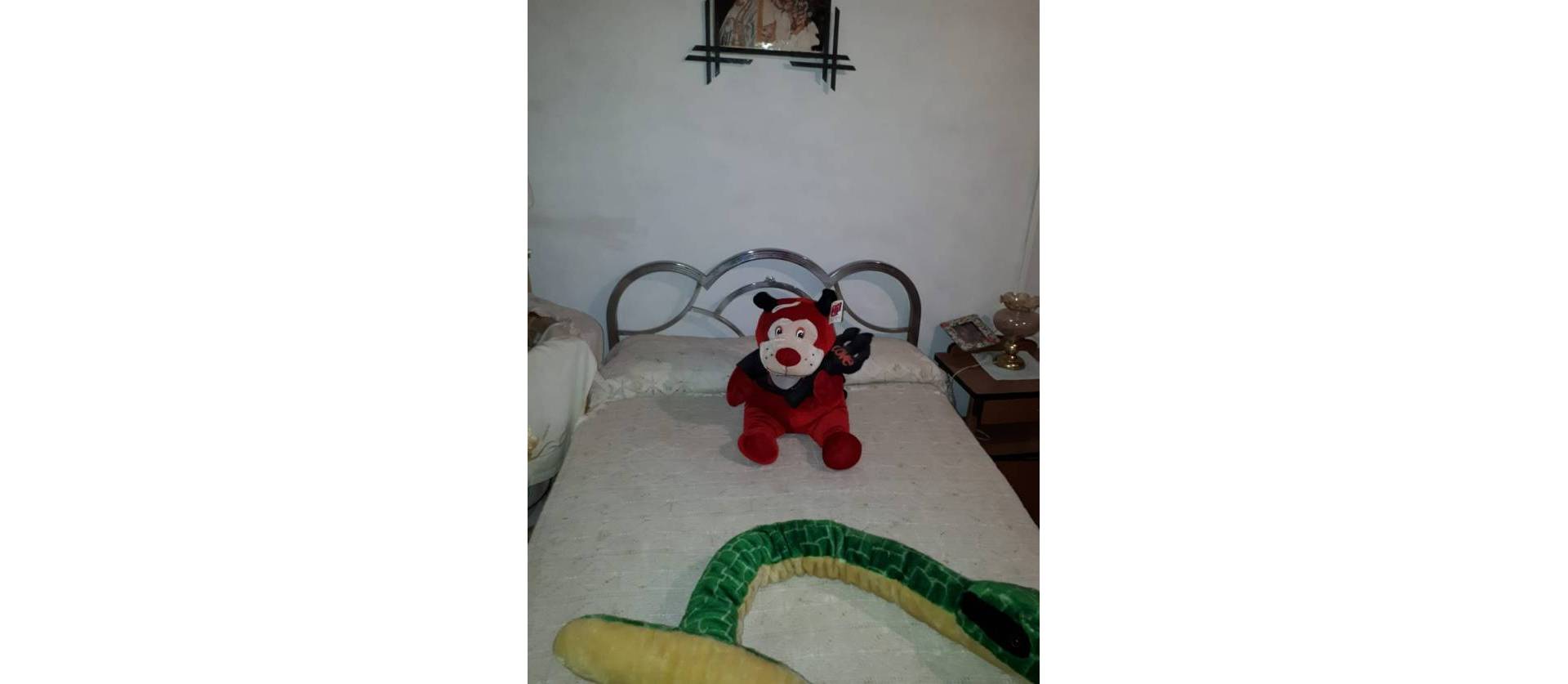 Bestaande woningen - Landelijk huis - Yecla