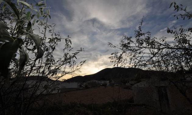 Bestaande woningen - Herenhuis - La Canalosa