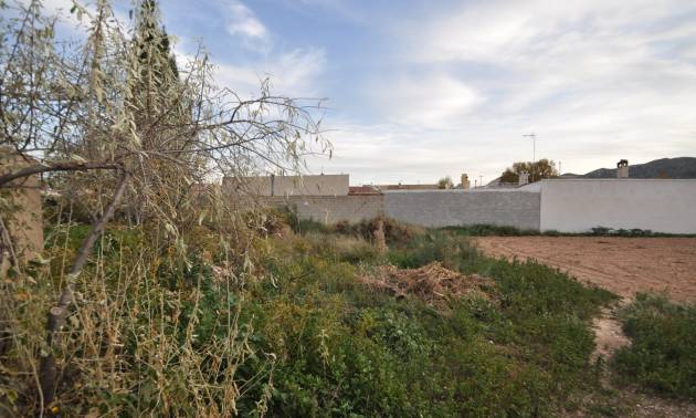 Bestaande woningen - Herenhuis - La Canalosa