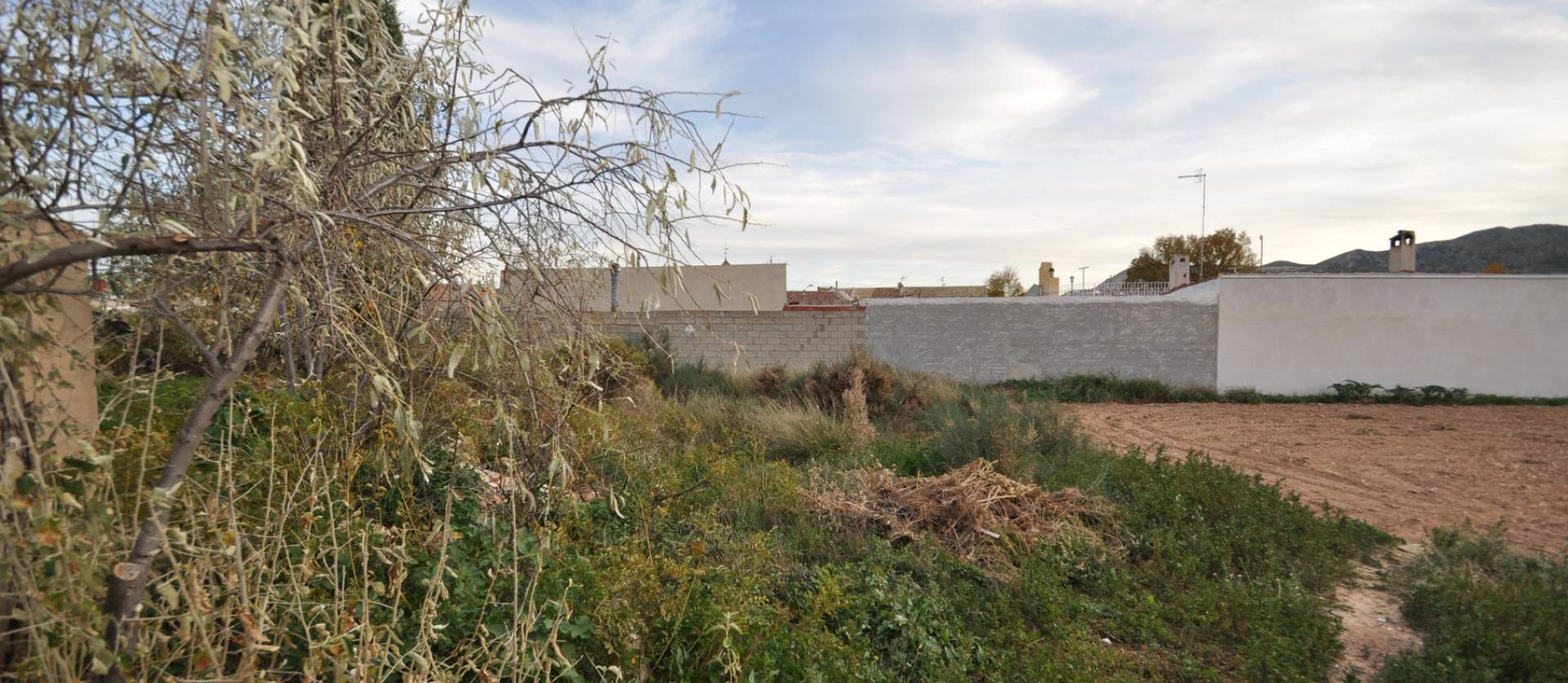 Bestaande woningen - Herenhuis - La Canalosa