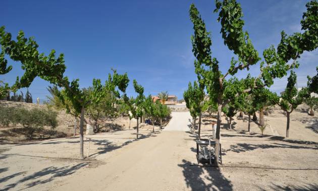 Bestaande woningen - Commercieel - Abanilla