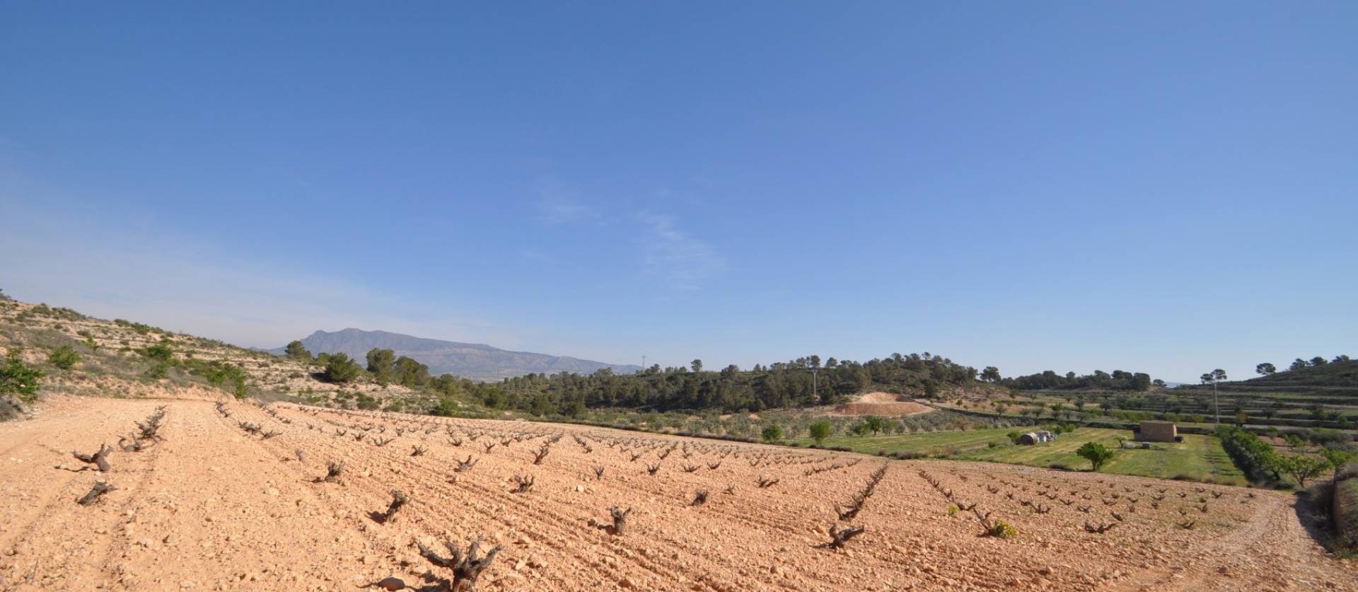 Bestaande woningen - Land - La Zarza