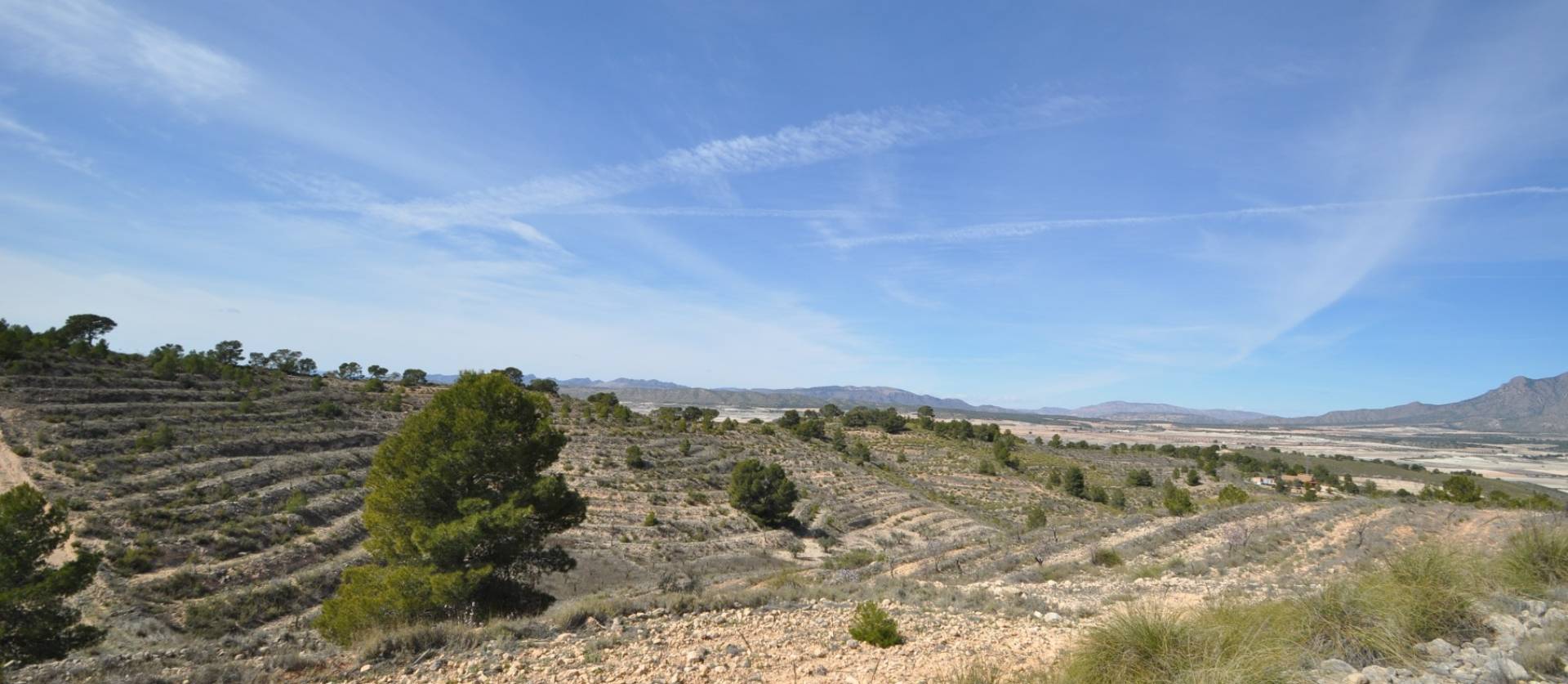 Bestaande woningen - Land - La Zarza