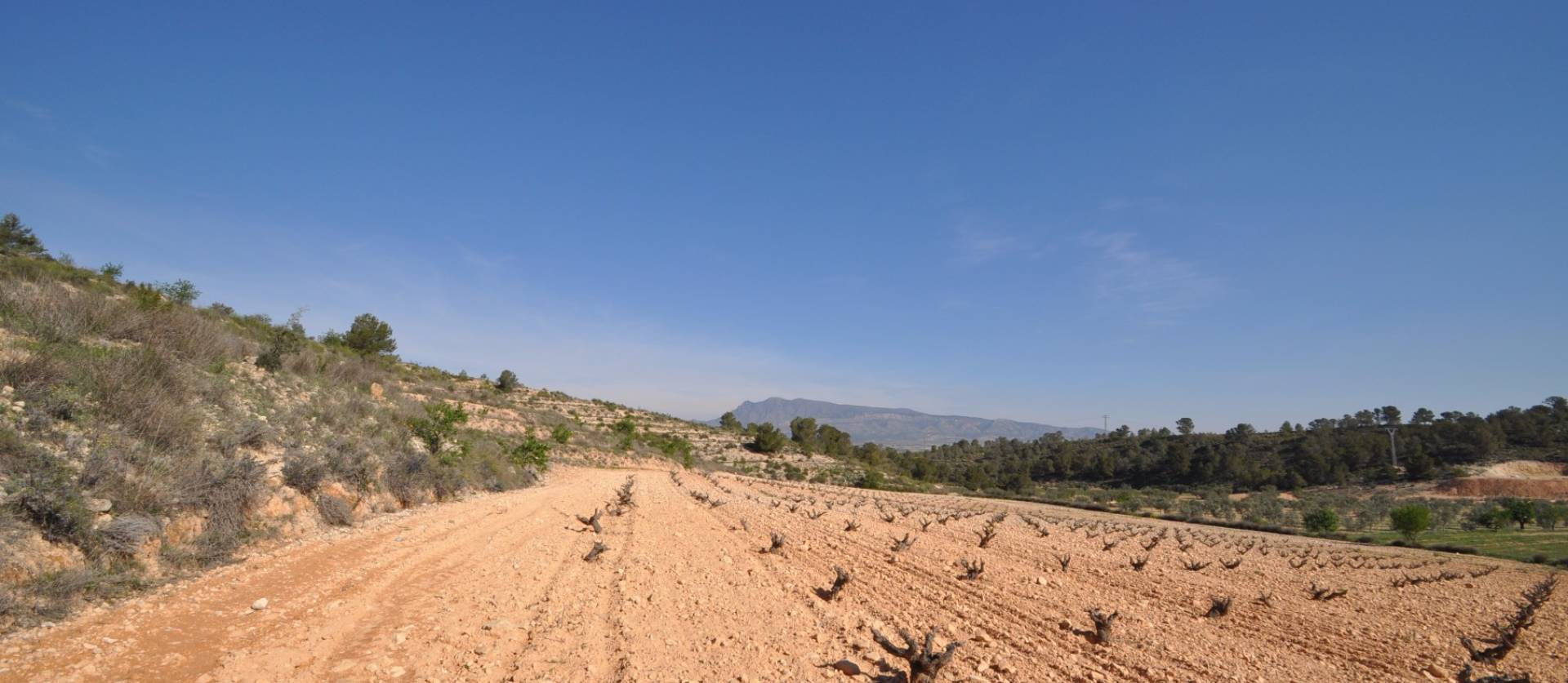 Bestaande woningen - Land - La Zarza