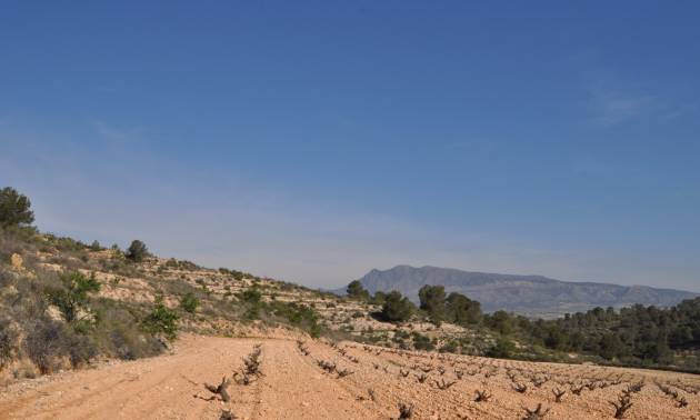 Bestaande woningen - Land - La Zarza