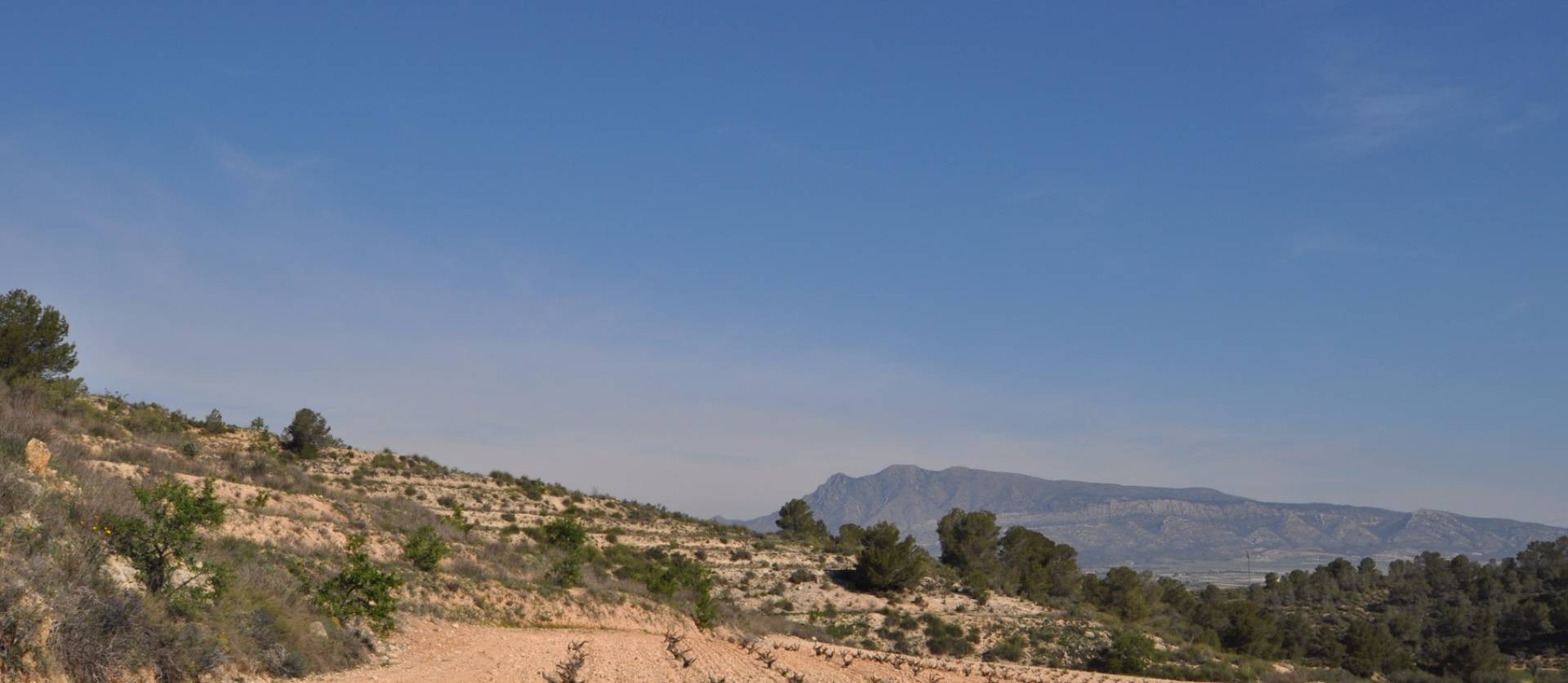 Bestaande woningen - Land - La Zarza