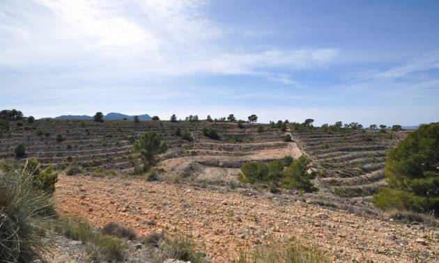 Bestaande woningen - Land - La Zarza