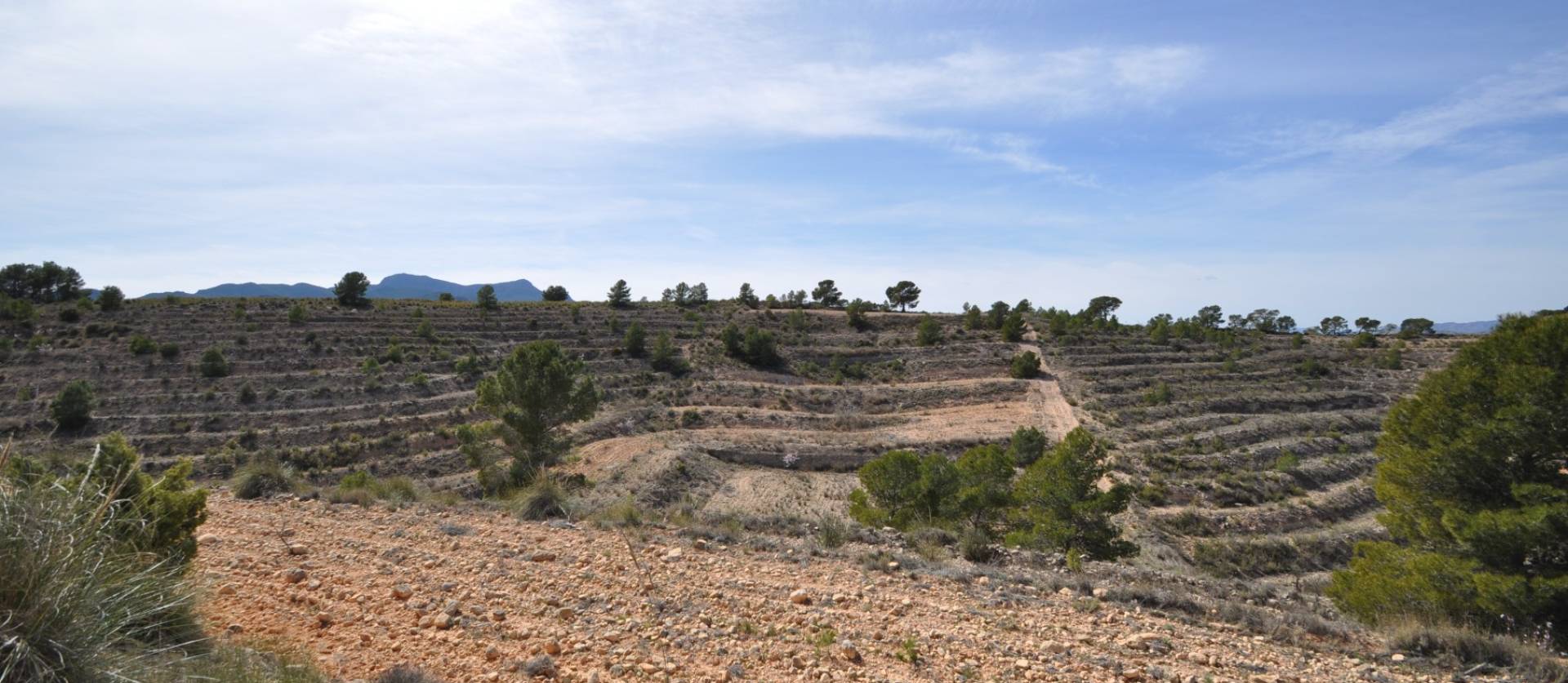 Bestaande woningen - Land - La Zarza