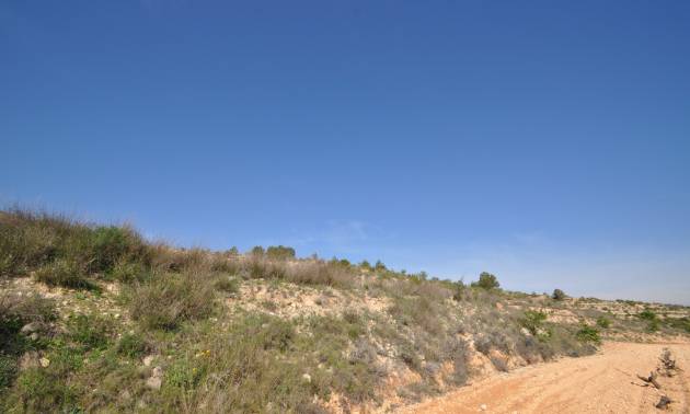 Bestaande woningen - Land - La Zarza