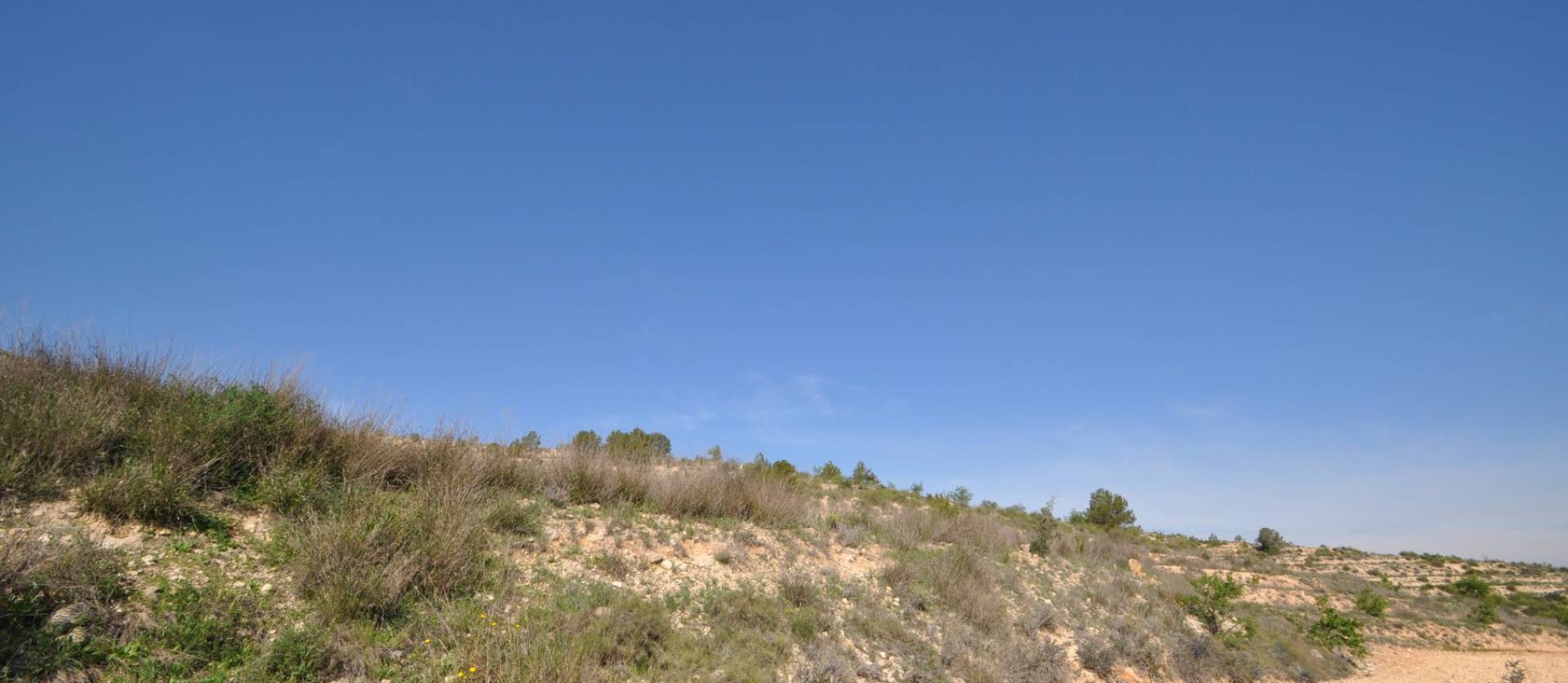 Bestaande woningen - Land - La Zarza