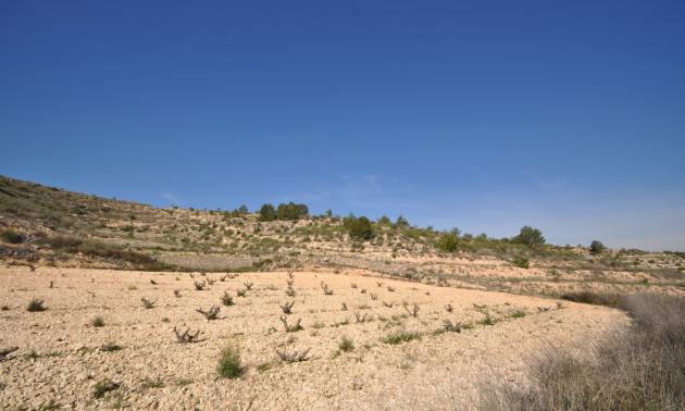 Bestaande woningen - Land - La Zarza