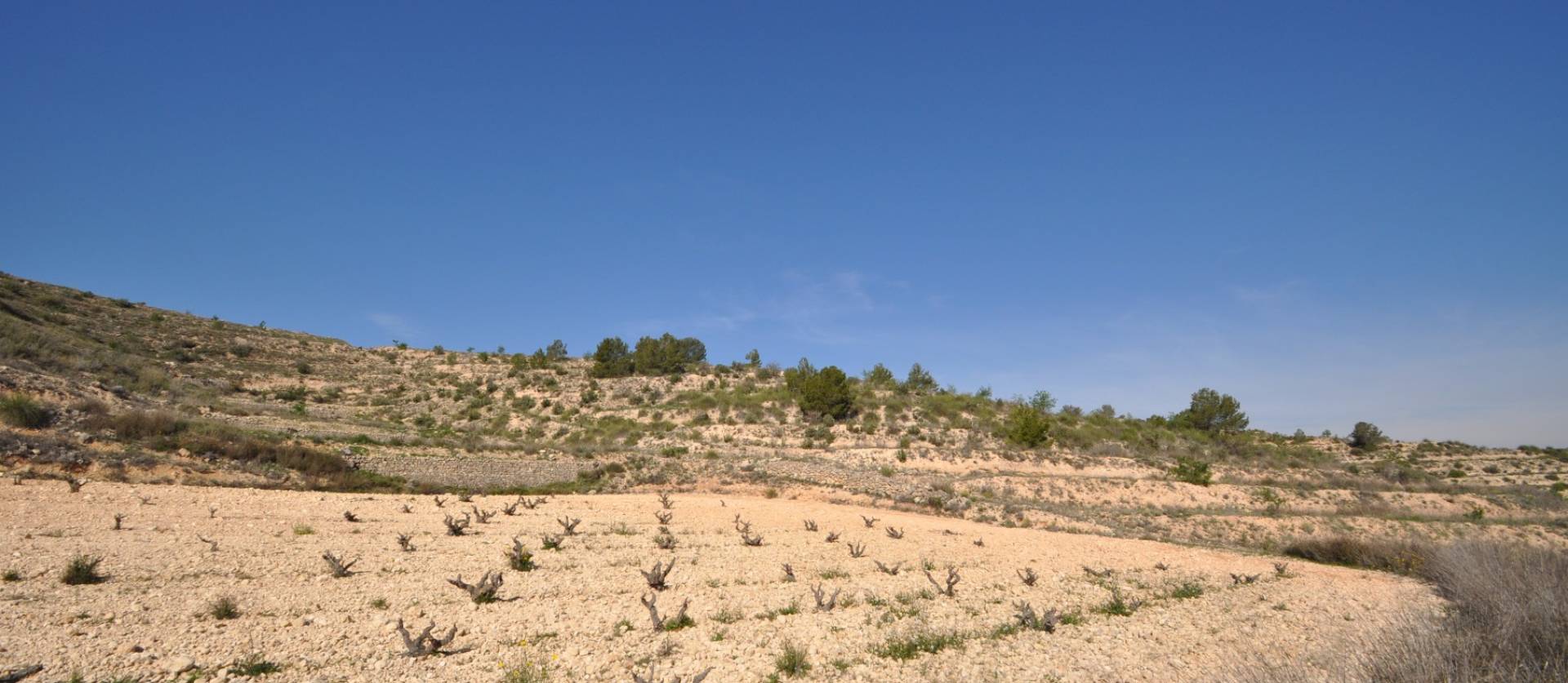 Bestaande woningen - Land - La Zarza