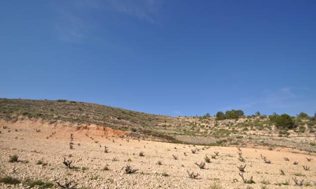 Bestaande woningen - Land - La Zarza