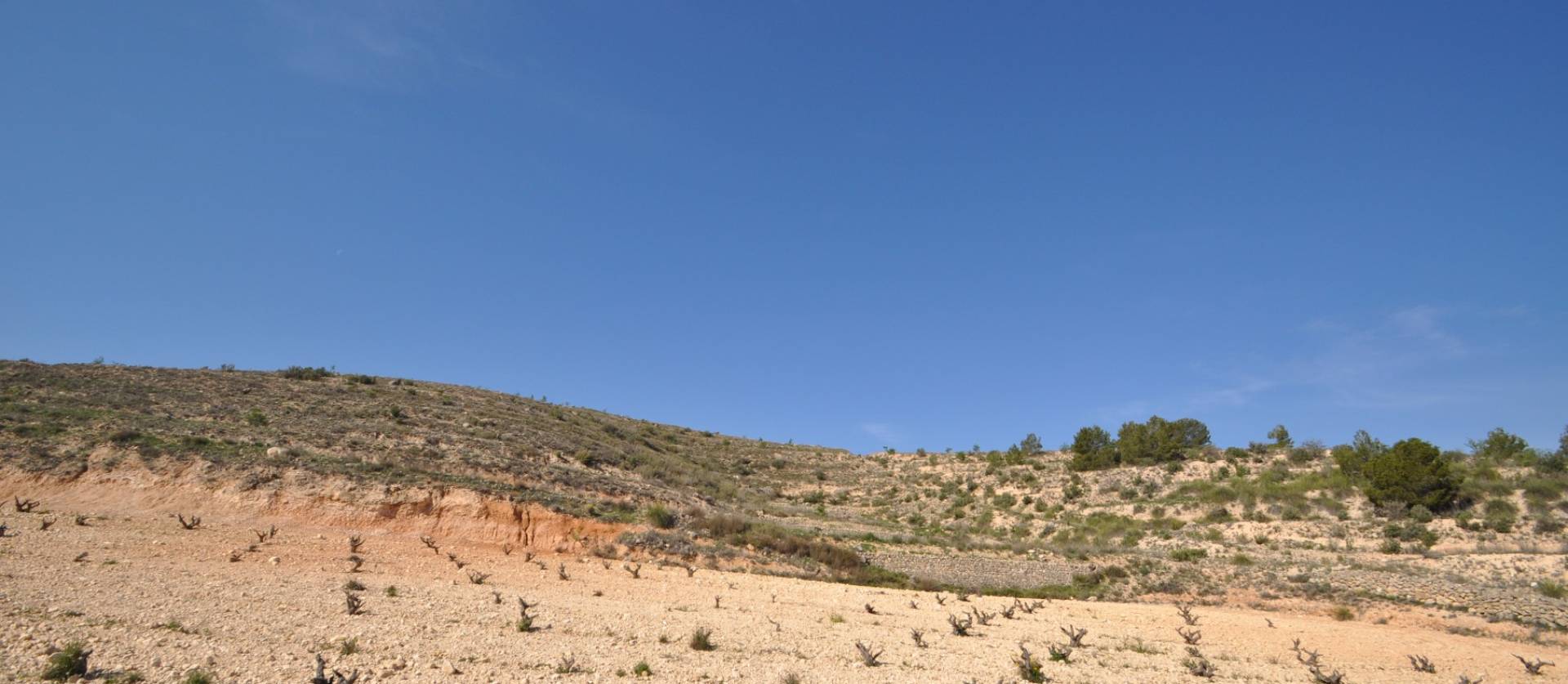 Bestaande woningen - Land - La Zarza