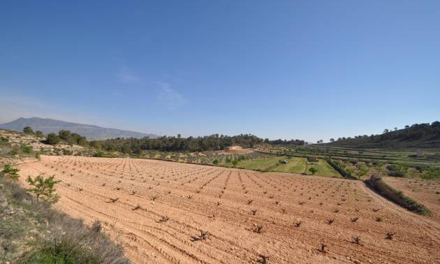 Bestaande woningen - Land - La Zarza