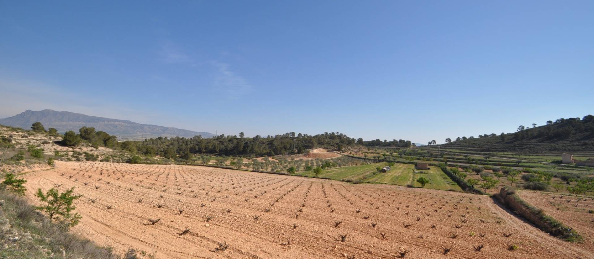 Bestaande woningen - Land - La Zarza