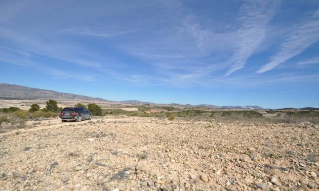 Bestaande woningen - Land - La Zarza